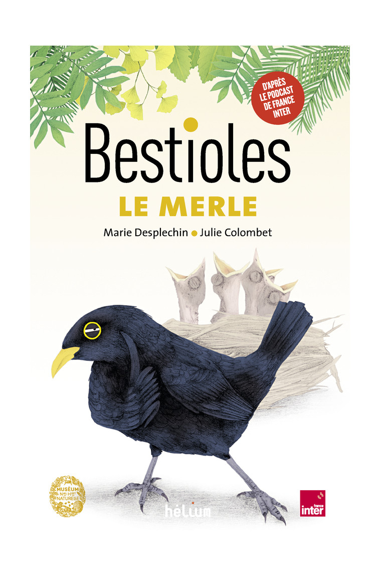 Bestioles - Le Merle - Guillaume Lecointre - HELIUM