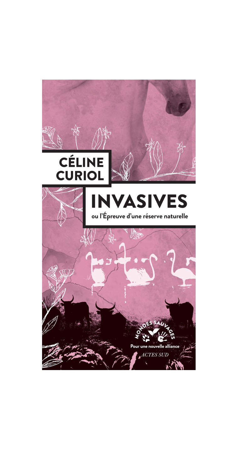 Invasives - Céline Curiol - ACTES SUD