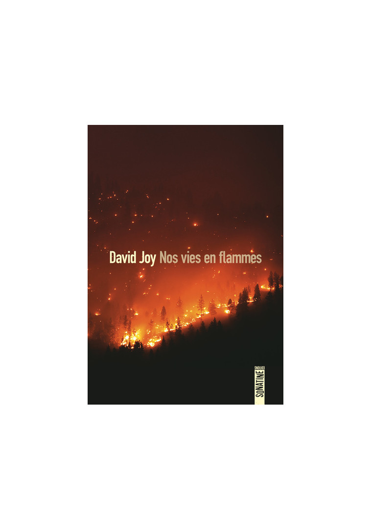 Nos vies en flammes - David Joy - SONATINE