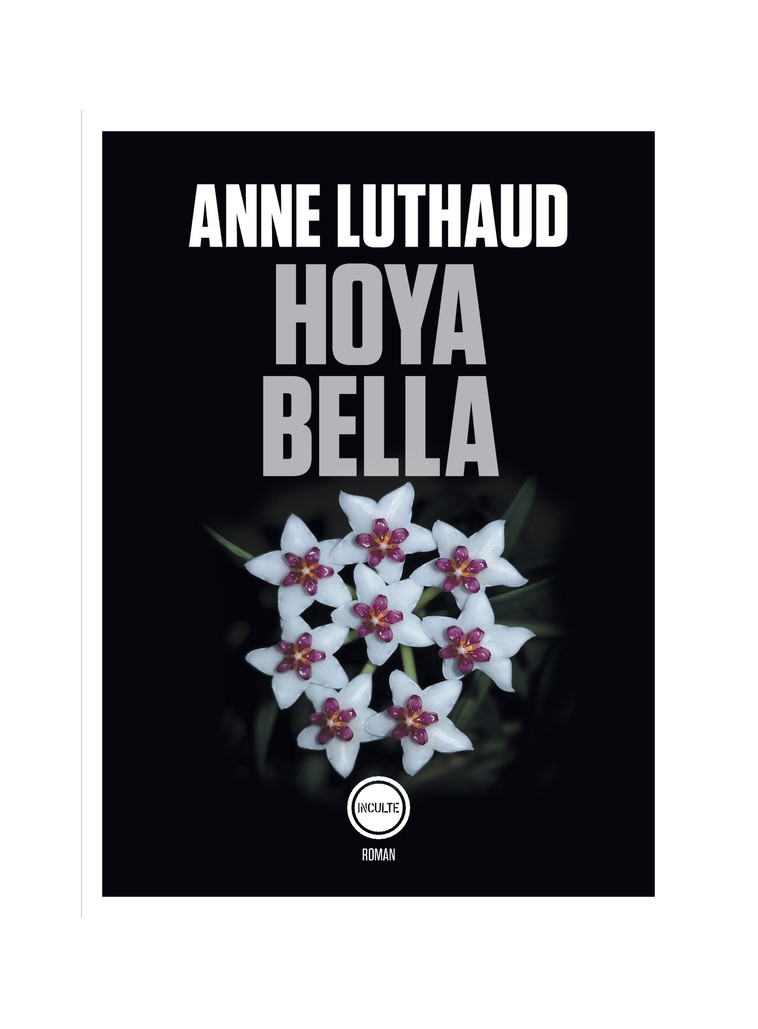 Hoya bella - Anne Luthaud - INCULTEDERMARGE