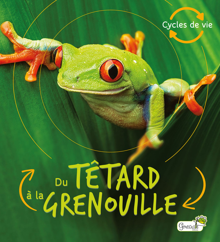 Du têtard à la grenouille - Camilla de la Bédoyère - GRENOUILLE