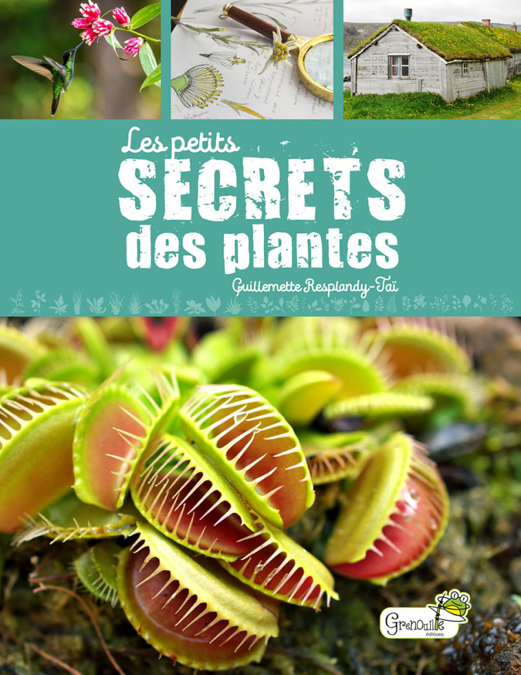 Les petits secrets des plantes - Guillemette Resplandy-Taï - GRENOUILLE