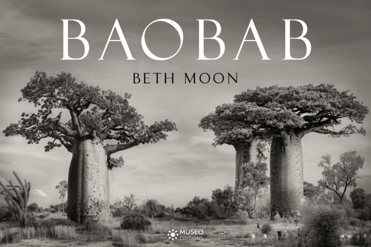 Baobab - Beth Moon - MUSEO