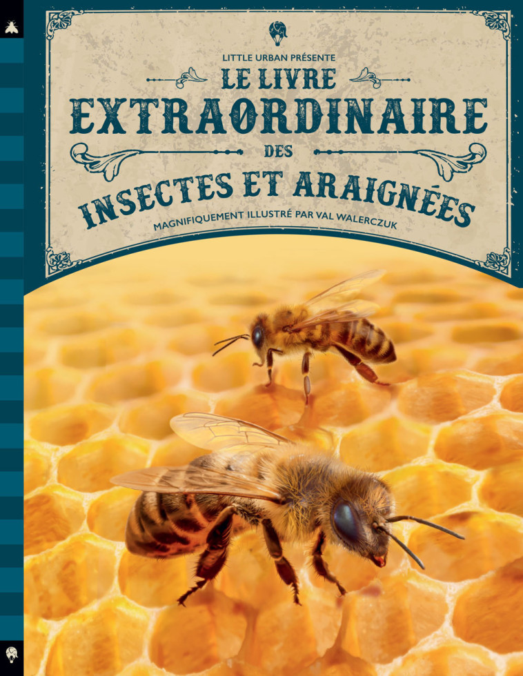 Le Livre extraordinaire des insectes et araignées -  Taylor Barbara - LITTLE URBAN