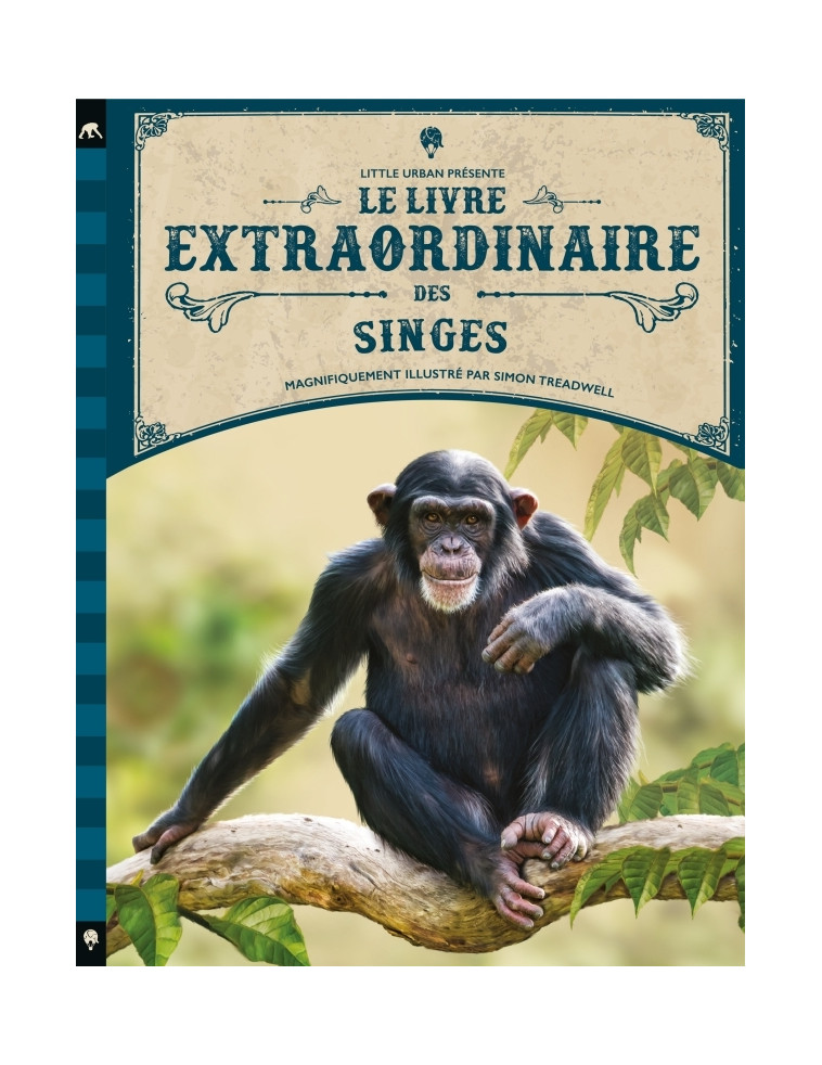 Le Livre extraordinaire des singes -  Taylor Barbara - LITTLE URBAN