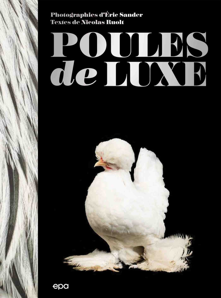 Poules de luxe - Eric Sander - EPA