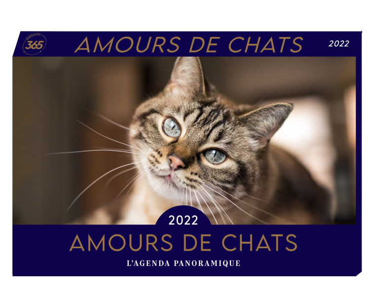 Agenda panoramique Amours de chats 2022 -  Editions 365 - 365 PARIS