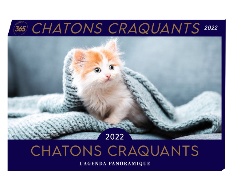 Agenda panoramique Chatons craquants 2022 -  Editions 365 - 365 PARIS