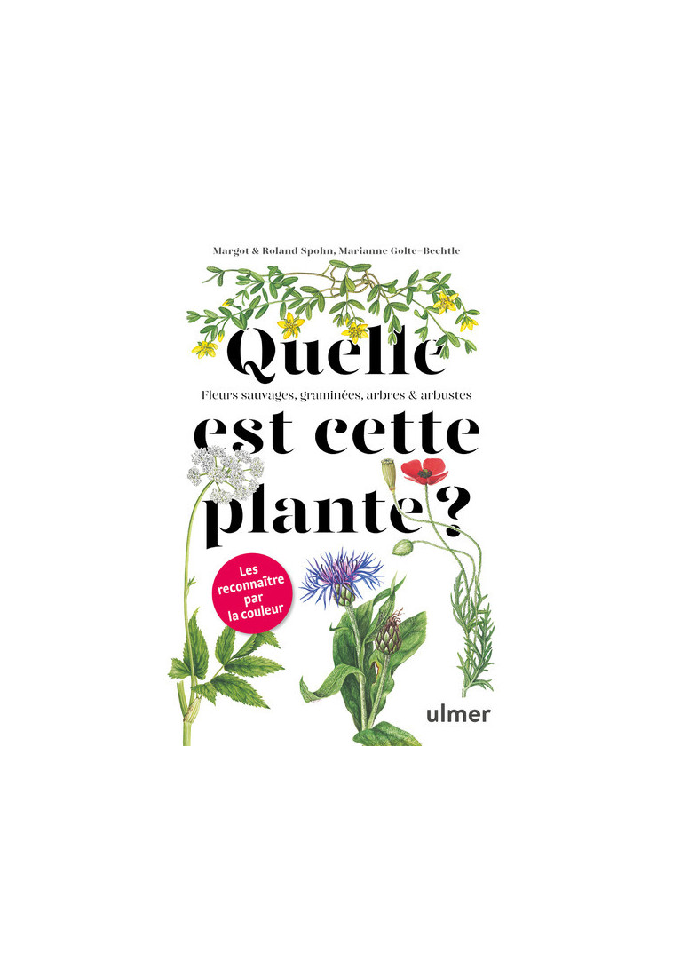 Quelle est cette plante ? - Margot Spohn - ULMER