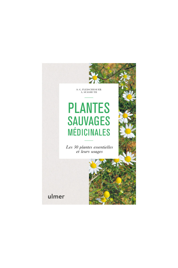 Plantes sauvages médicinales - Les 50 plantes essentielles et leurs usages - Steffen Guido Fleischauer - ULMER