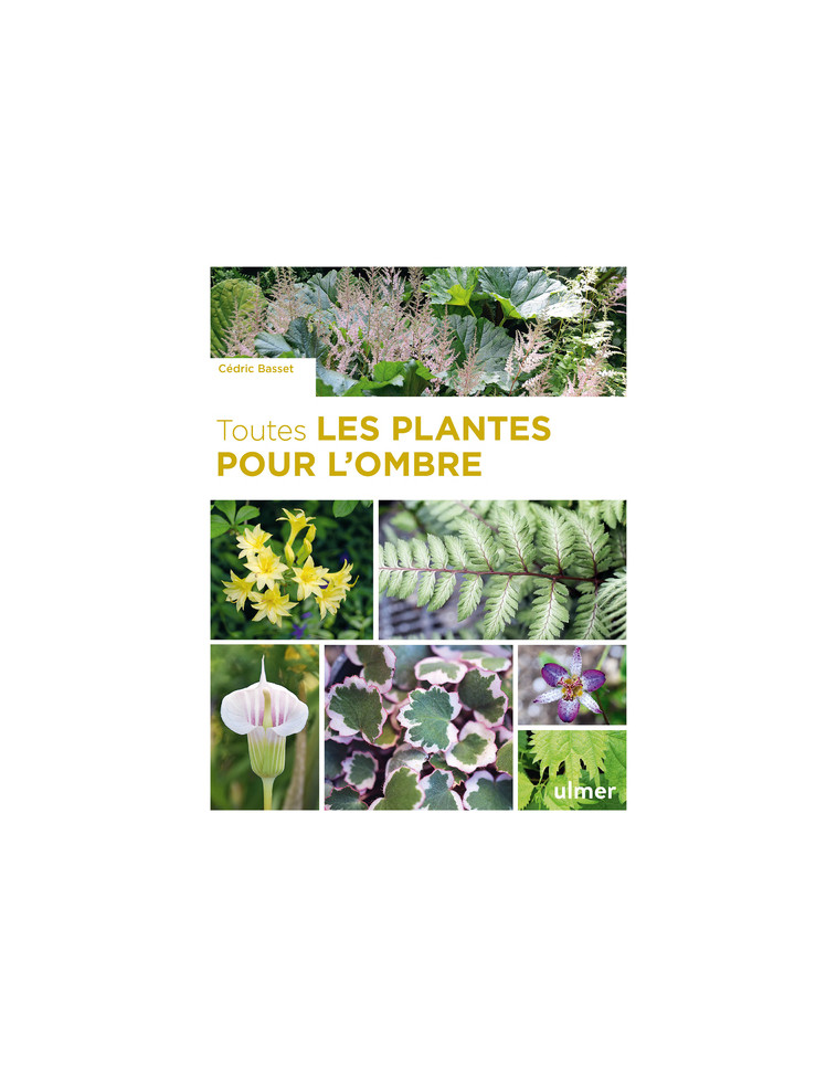 Toutes les plantes pour l'ombre - Cédric Basset - ULMER