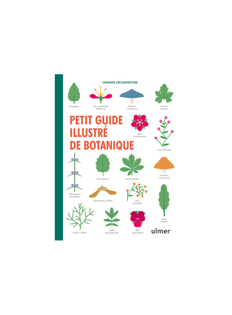 Petit guide illustré de botanique - Corinne Decarpentrie - ULMER