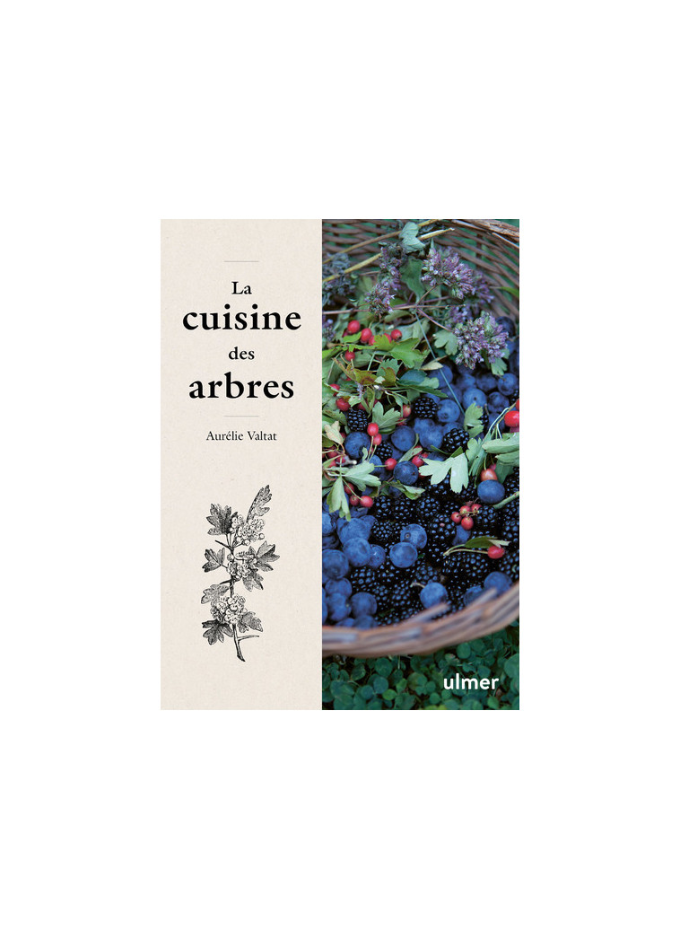 La cuisine des arbres - Aurélie Valtat - ULMER