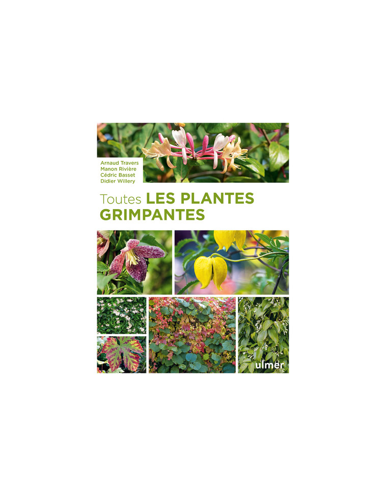 Toutes les plantes grimpantes - Arnaud Travers - ULMER