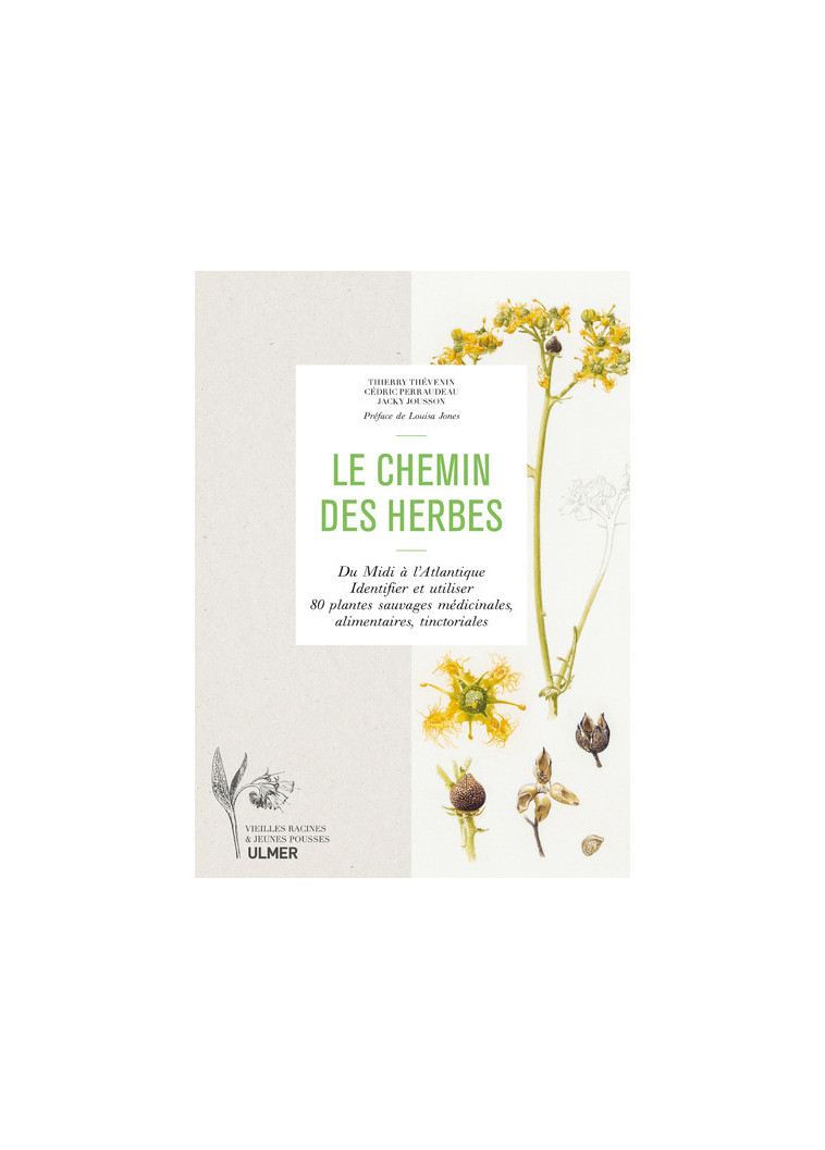 Le chemin des herbes - Du Midi à l'Atlantique : identifier et utiliser 80 plantes sauvages médicinales, alimentaires, tinctoriales - Thierry Thevenin - ULMER