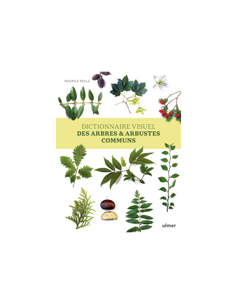 Dictionnaire visuel des arbres et arbustes communs - Maurice Reille - ULMER