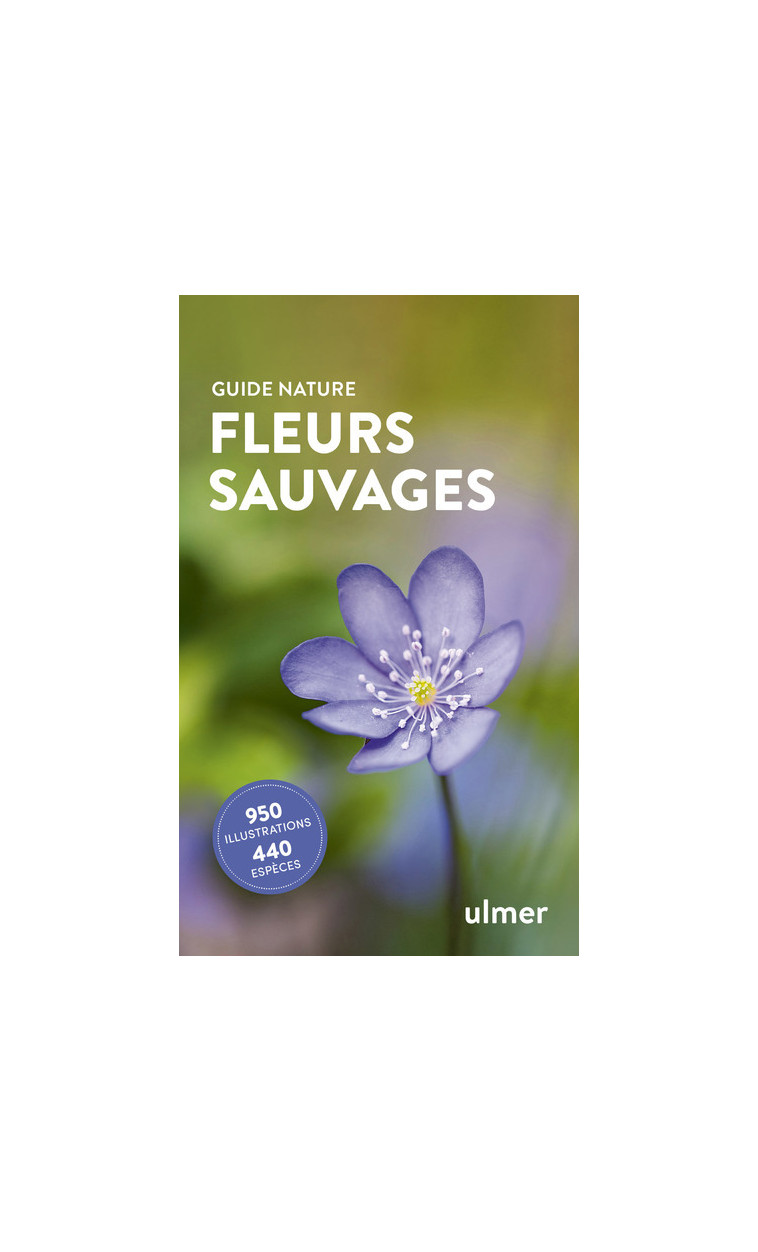 Fleurs sauvages - Bruno P. Kremer - ULMER