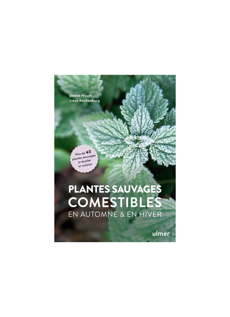 Plantes sauvages comestibles en automne et en hiver - Janine Hissel - ULMER