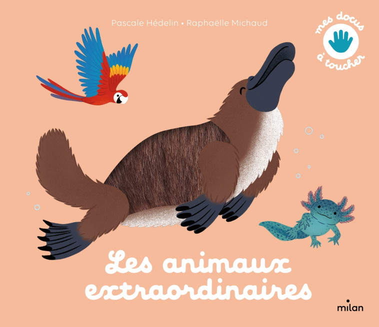 Les animaux extraordinaires - Raphaëlle Michaud - MILAN