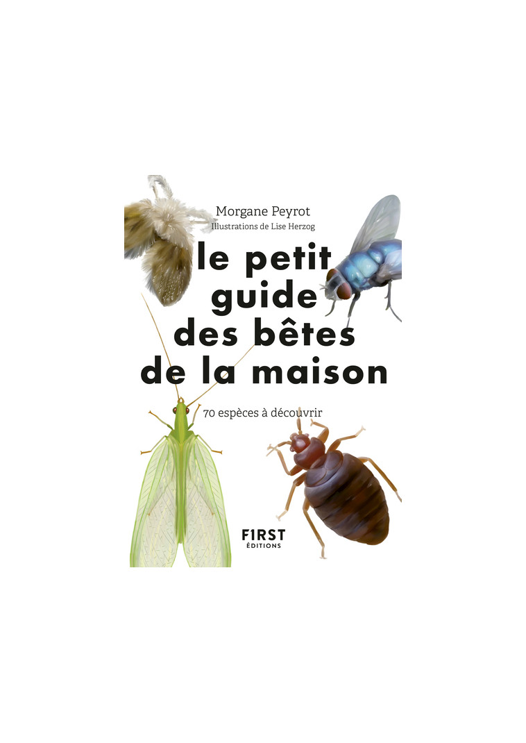 Petit guide d'observation des petites bêtes de la maison - Morgane Peyrot - FIRST