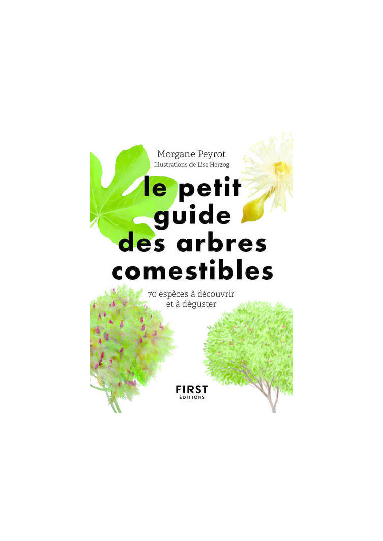 Petit guide des arbres comestibles - Morgane Peyrot - FIRST