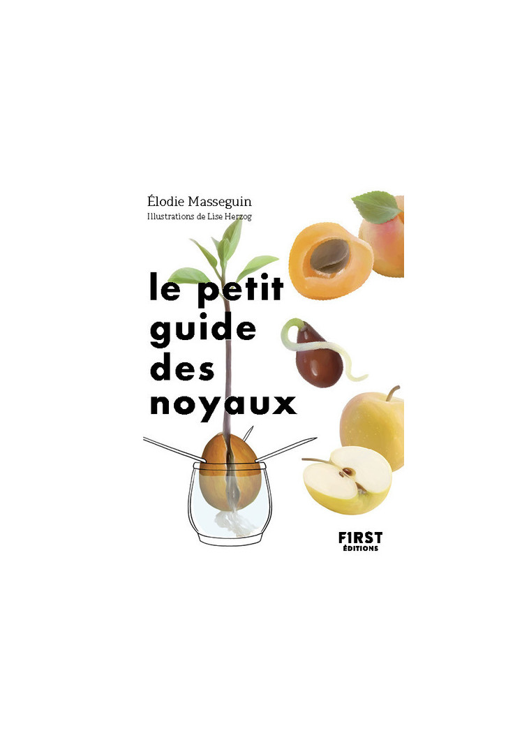 Le Petit Guide des noyaux -  Collectif - FIRST