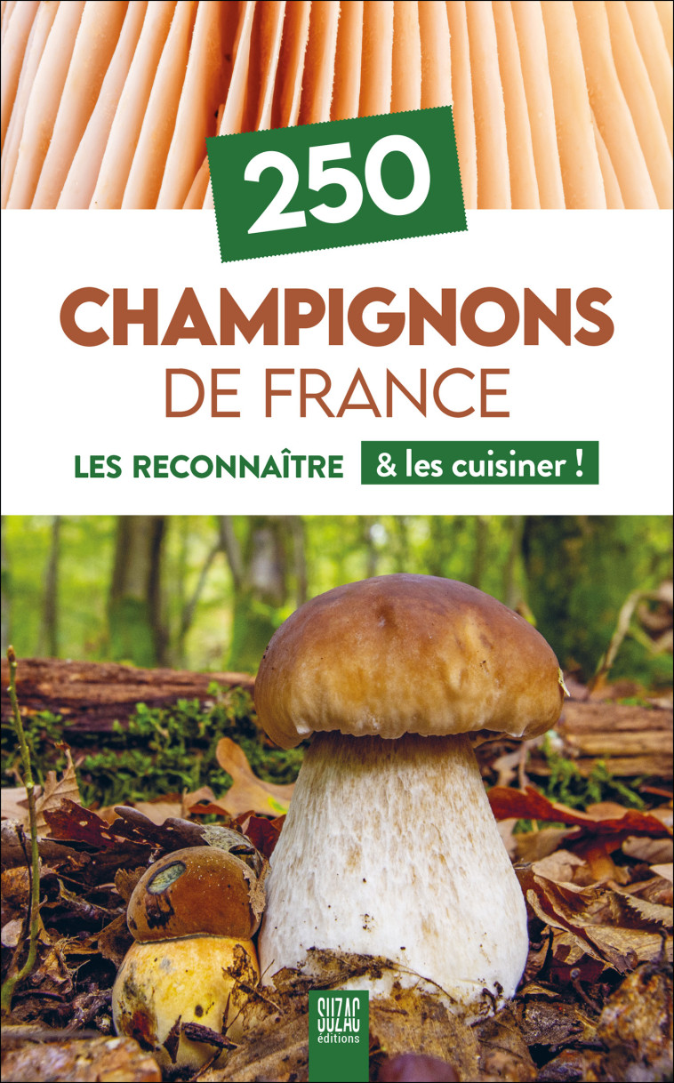 250 Champignons de France -  Collectif - SUZAC