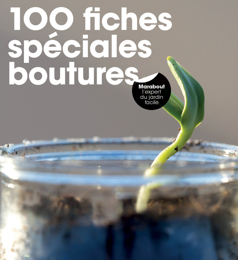 100 fiches spéciales boutures -  100 FICHES - MARABOUT