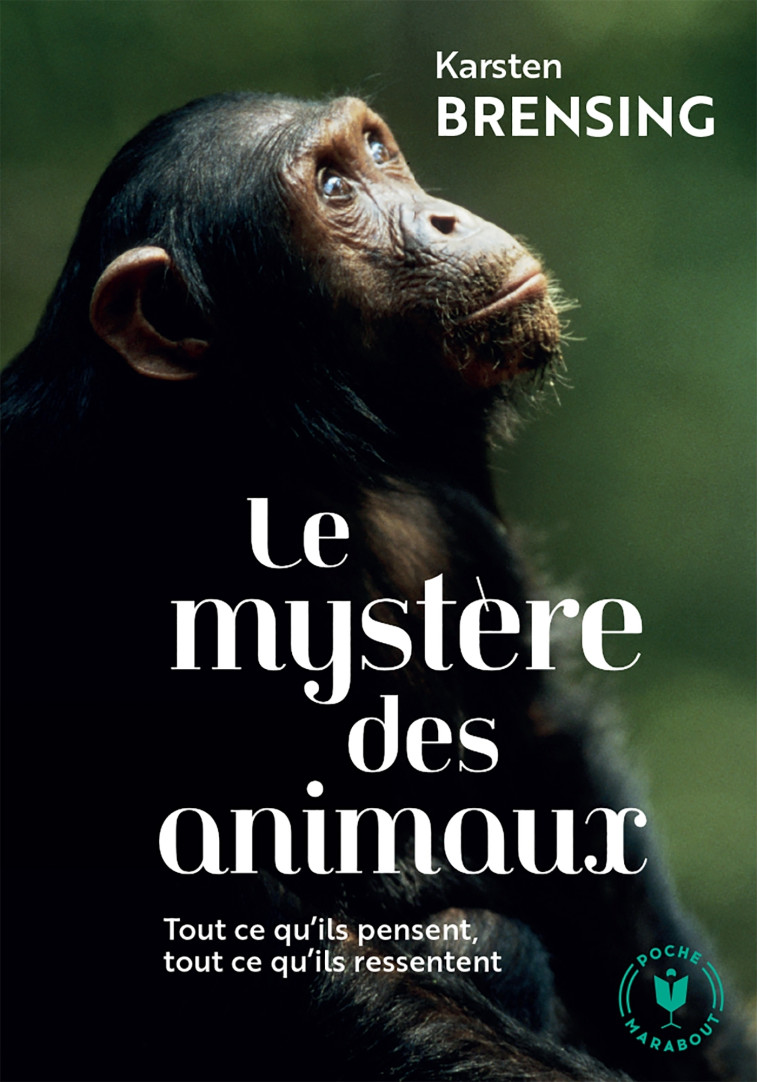 Le mystère des animaux - Karsten Brensing - MARABOUT