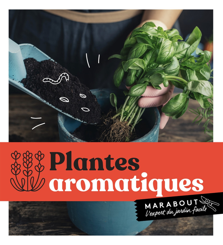 Plantes aromatiques -   - MARABOUT