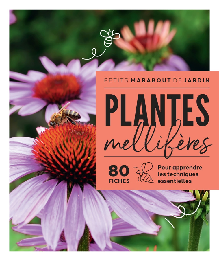 Plantes mellifères -   - MARABOUT