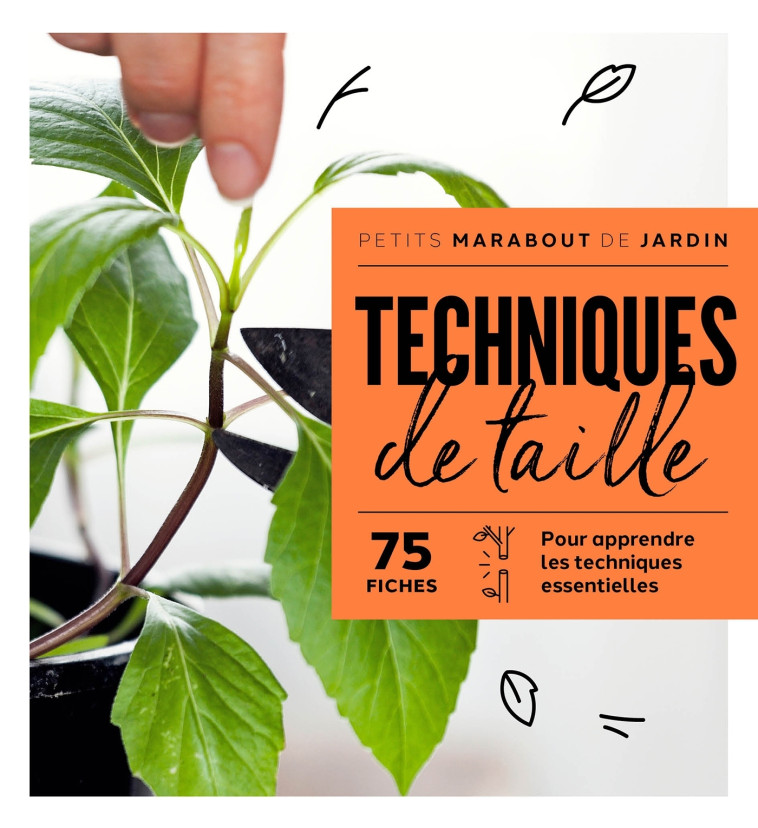 Techniques de taille -   - MARABOUT