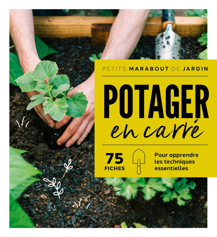 Potagers en carré -   - MARABOUT