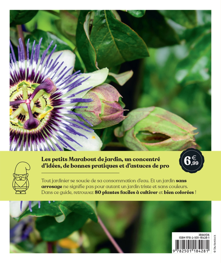 Un jardin sans arrosage -   - MARABOUT