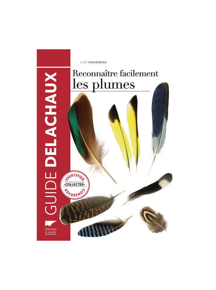 Reconnaître facilement les plumes - Cloé Fraigneau - DELACHAUX