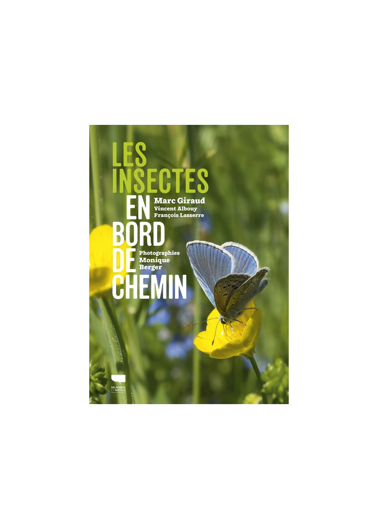 Les Insectes en bord de chemin - Vincent Albouy - DELACHAUX