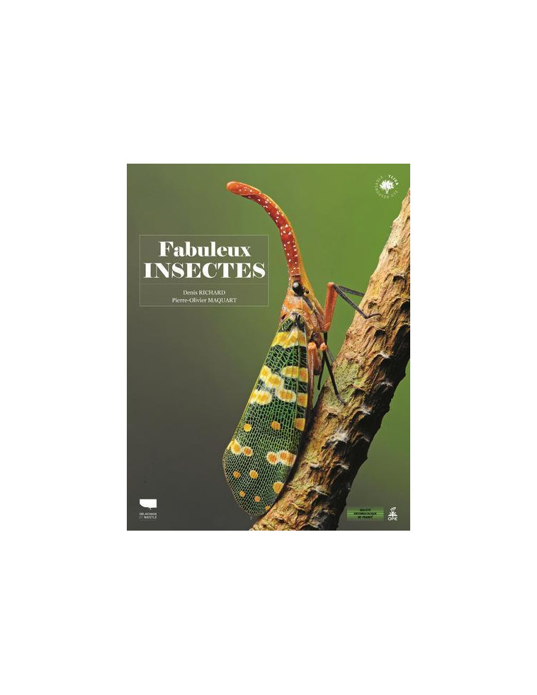 Fabuleux insectes - Denis Richard - DELACHAUX