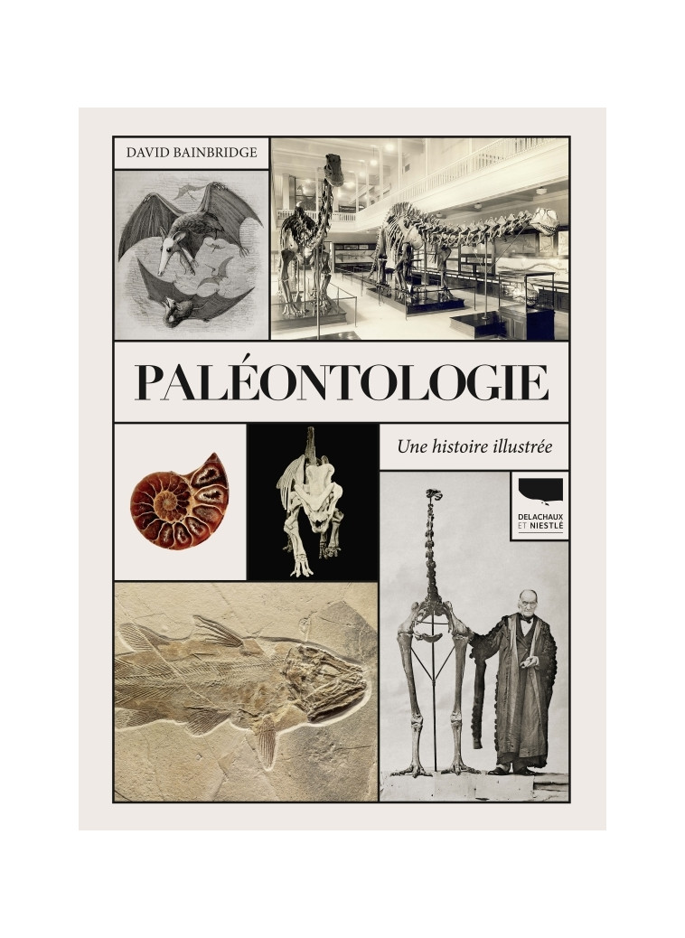 Paléontologie. Une histoire illustrée - David Bainbridge - DELACHAUX