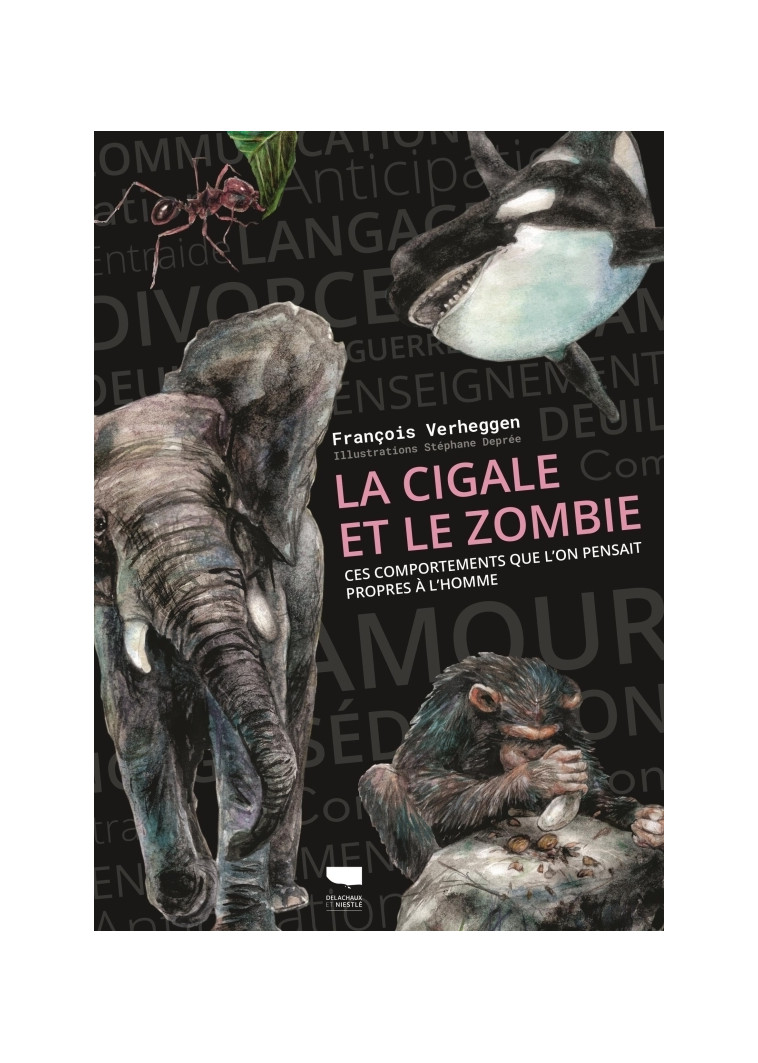 La Cigale et le zombie - François Verheggen - DELACHAUX