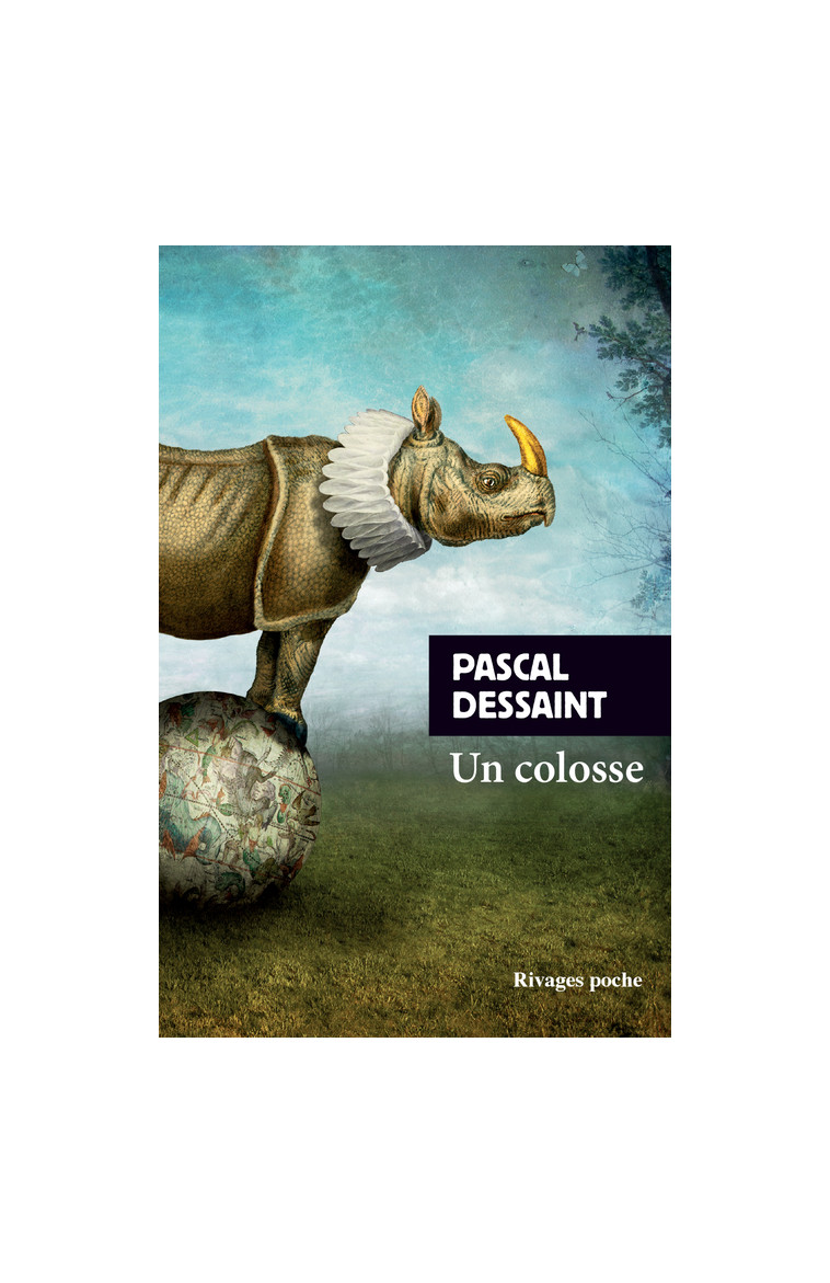 Un colosse - Pascal Dessaint - RIVAGES