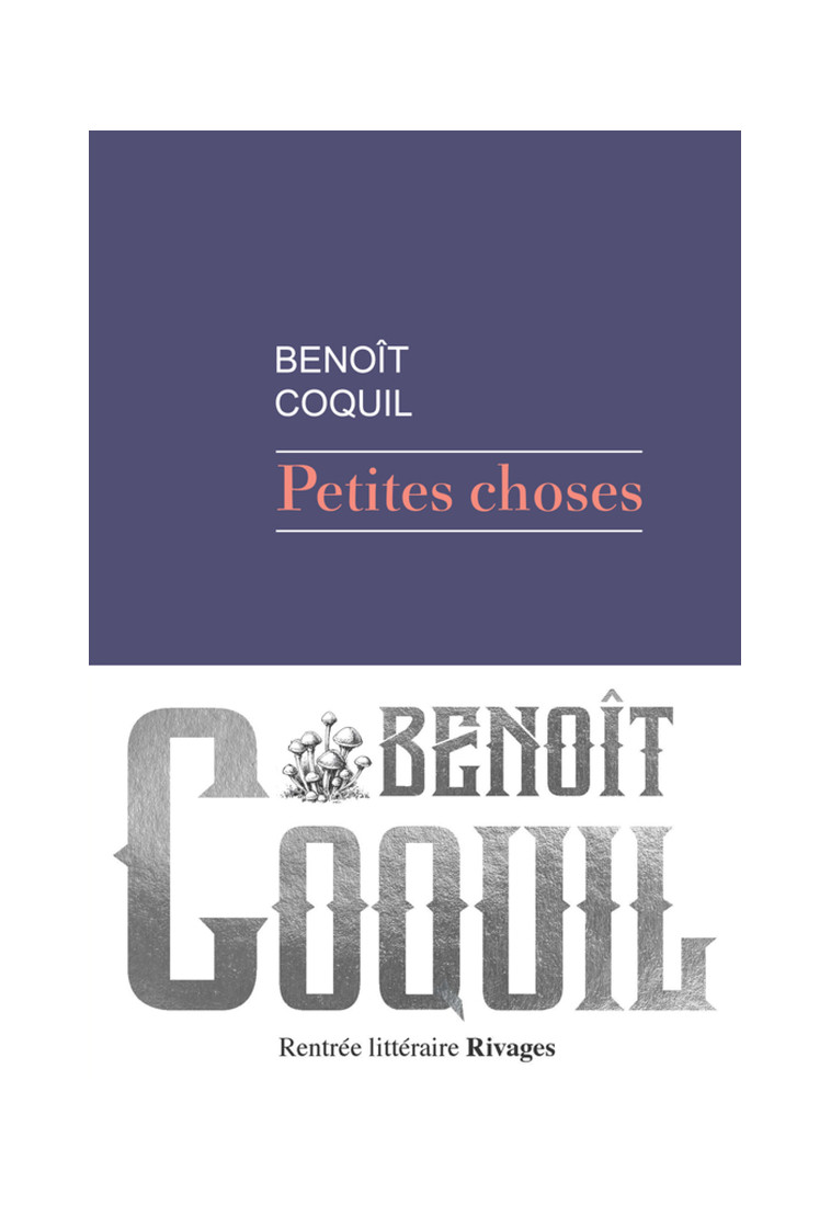 Petites choses - Benoît Coquil - RIVAGES