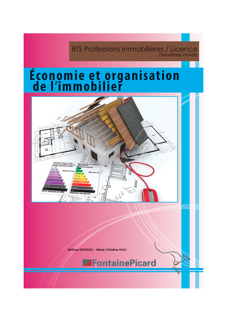 ECO ET ORG. DE L'IMMOBILIER LES PROBLEMATIQUES AUTOUR DU LOGEMENT BTS PROF. IMMOBILIERES/LICENCE 2e -  GEORGEL-RALU - FONTAINE PICARD