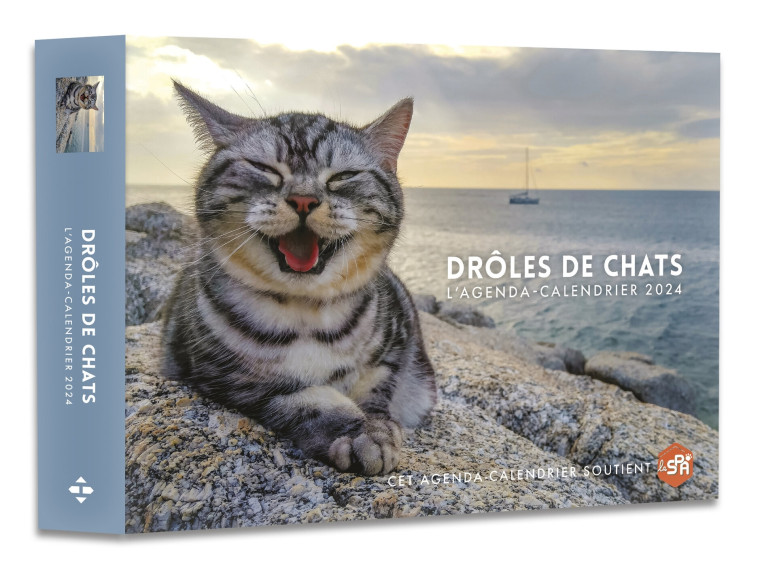 Agenda - Calendrier Drôles de chats 2024 -   - HUGO IMAGE