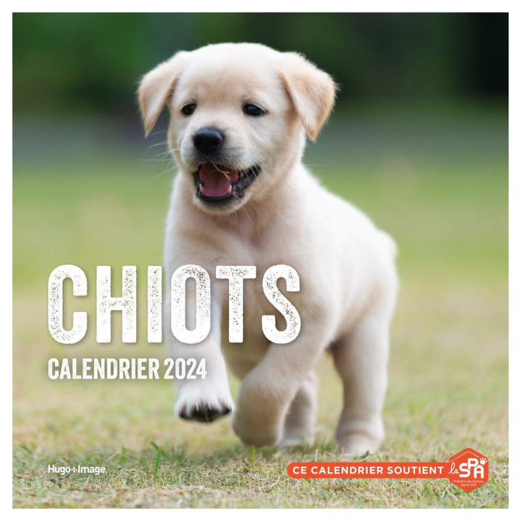 Calendrier mural chiots 2024 -   - HUGO IMAGE