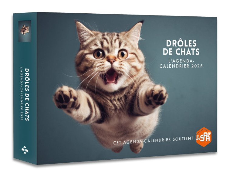 Agenda - Calendrier Drôles de chats 2025 -   - HUGO IMAGE