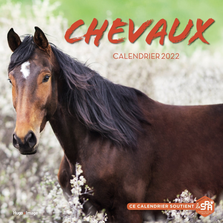 Calendrier Mural Chevaux 2022 -   - HUGO IMAGE