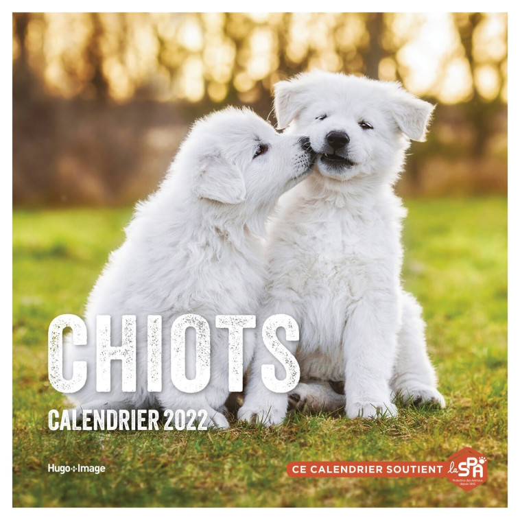 Calendrier Mural Chiots 2022 -   - HUGO IMAGE