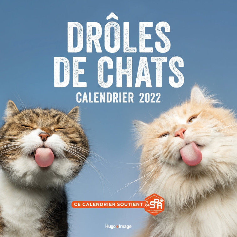 Calendrier Mural drôles de chat 2022 -   - HUGO IMAGE