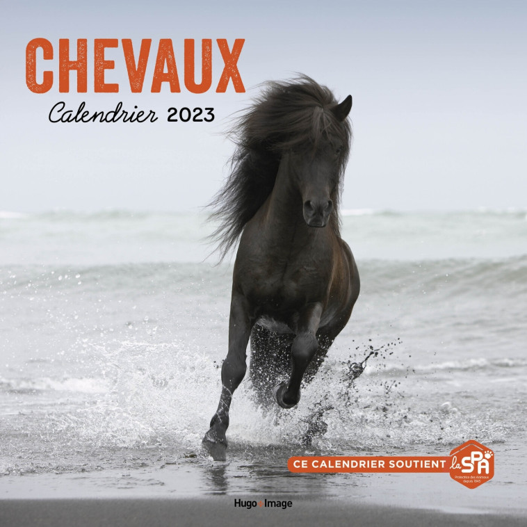 Calendrier Mural Chevaux 2023 -   - HUGO IMAGE