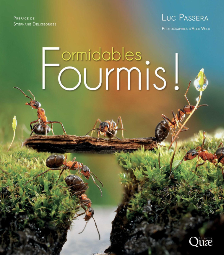 Formidables fourmis ! - Luc Passera - QUAE